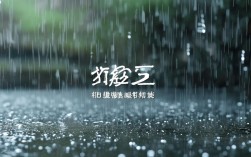 rain单词的中文意思是什么？快速解答！